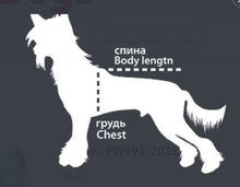 Last inn bildet i Galleri-visningsprogrammet, DRESS lyseblå TISPE (Langhåret hund)