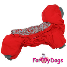 Last inn bildet i Galleri-visningsprogrammet, Vinterdress rød TISPE