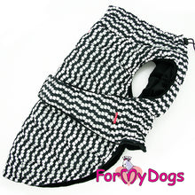 Last inn bildet i Galleri-visningsprogrammet, Jakke hvit/svart UNISEX Mops/Fransk Bulldog