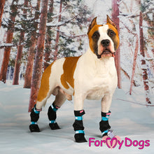 Last inn bildet i Galleri-visningsprogrammet, Boots svart og Turkis, vannfast nylon (4 pk,) str 5