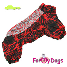 Last inn bildet i Galleri-visningsprogrammet, Vinterdress rød TISPE, små og mellomstore raser