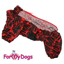 Last inn bildet i Galleri-visningsprogrammet, Vinterdress rød TISPE, små og mellomstore raser