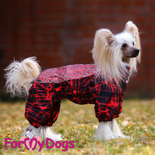 Last inn bildet i Galleri-visningsprogrammet, Vinterdress rød TISPE, små og mellomstore raser