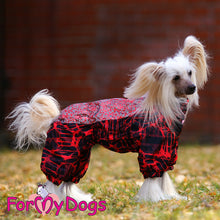 Last inn bildet i Galleri-visningsprogrammet, Vinterdress rød TISPE, små og mellomstore raser