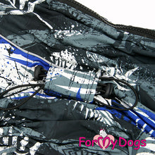 Last inn bildet i Galleri-visningsprogrammet, Varm vinterdress Blå/Grå HANNE, West Highland White Terrier