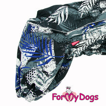 Last inn bildet i Galleri-visningsprogrammet, Varm vinterdress Blå/Grå HANNE, West Highland White Terrier