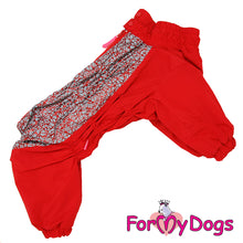 Last inn bildet i Galleri-visningsprogrammet, Vinterdress rød TISPE, West Highland White Terrier