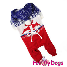 Last inn bildet i Galleri-visningsprogrammet, STRIKKET DRESS med hette ¨Deers¨ rød/blå UNISEX, str 8 chihuahua