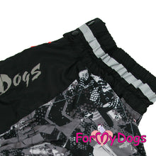 Last inn bildet i Galleri-visningsprogrammet, Regndress svart/grå HANNE mopps, fransk bulldog