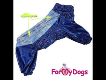 Last inn og spill av video i Gallerivisningen, Regndress Blå HANNE STR A3 (Cocker spaniel, beagle, dvergsnausser el. lig)