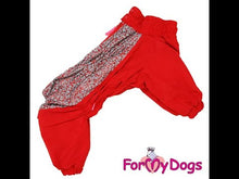 Last inn og spill av video i Gallerivisningen, Vinterdress rød TISPE, West Highland White Terrier