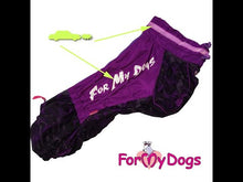 Last inn og spill av video i Gallerivisningen, Regndress Lilla Neon TISPE Corgi