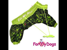 Last inn og spill av video i Gallerivisningen, Regndress Grønn Neon HANNE cocker spaniel, beagle, dvergschnauzer m.fl.