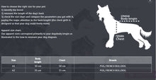 Last inn bildet i Galleri-visningsprogrammet, Vinterdress Blå TISPE Mops/Fransk Bulldog
