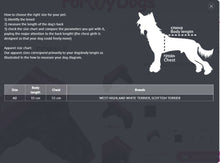 Last inn bildet i Galleri-visningsprogrammet, Regndress Lilla Neon TISPE, West Highland White Terrier
